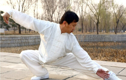 Tai Chi y Qi Gong, ejercicio para el Adulto Mayor