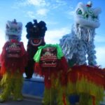 Los estilos en la Danza del León