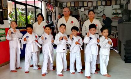 Curso: Manejo de niños en Artes Marciales