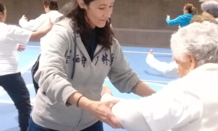 Tai Chi San Luis Potosí Práctica de la Amistad