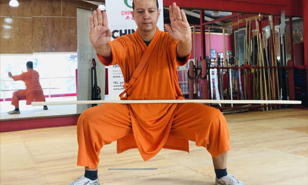 Reto Shaolin! Gana premios y fortalece tu organismo!