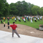 Investigadores encuentran que el Tai Chi ayuda a revitalizar las células madre