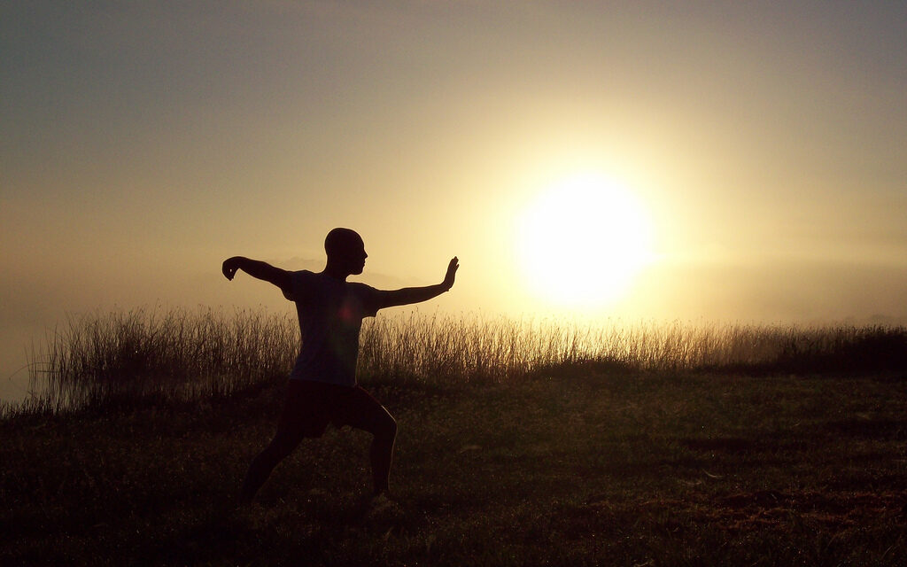 La energía vital……..Chi