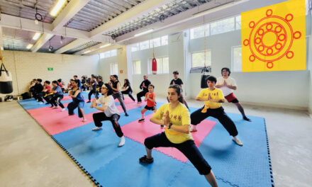 Templo Shaolin Colonia Pensil