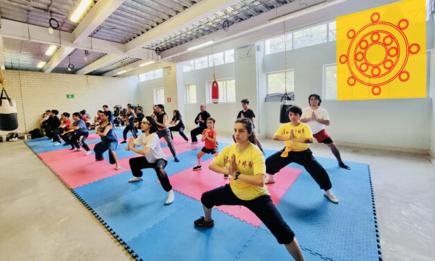 Templo Shaolin Colonia Pensil