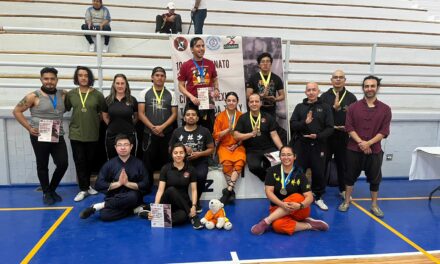 Templo Shaolin a la selección oficial de Wushu