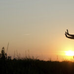 Qi gong para la presión arterial