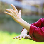 Mujeres Posmenopáusicas y el Tai Chi