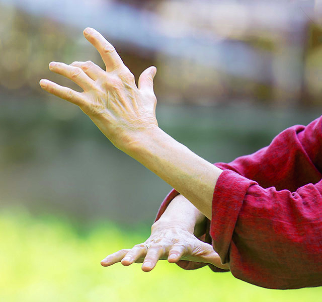 Mujeres Posmenopáusicas y el Tai Chi