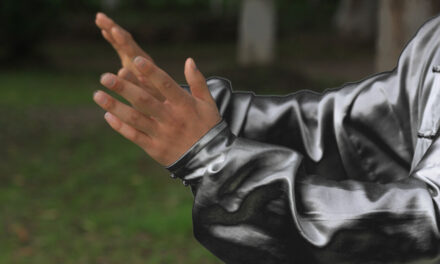 Diabetes Mellitus y el Tai Chi