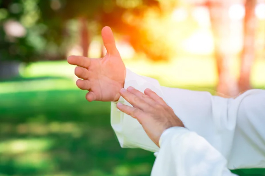 Tai Chi y las imágenes mentales